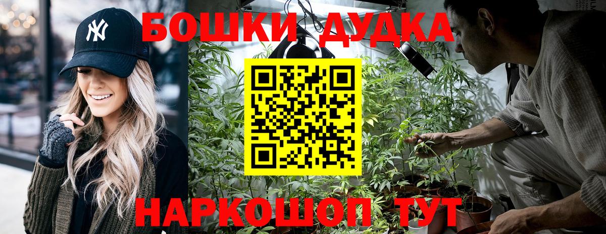 Конопля OG Kush Октябрьский